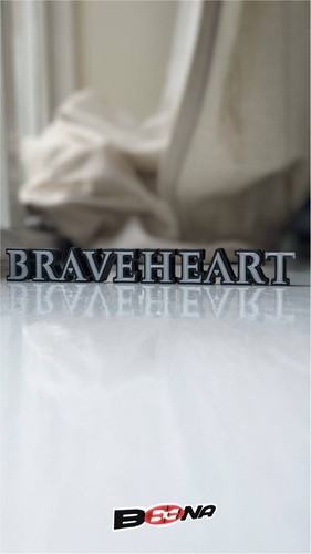 Braveheart movie shelf art - braveheart,